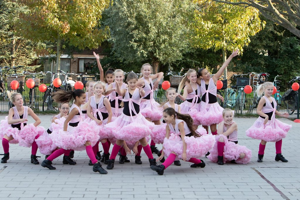 Schoolplein Festival A345.jpg